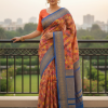 Tussar Silk Printed Saree
