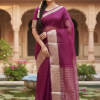 Beautiful Organza Sequence Saree