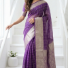 Beautiful Chex Organza Saree